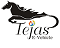 Tejas E Vehicle Electric Rickshaw